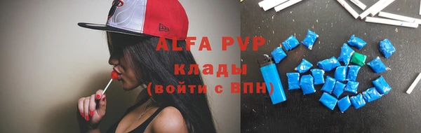 apvp Алзамай