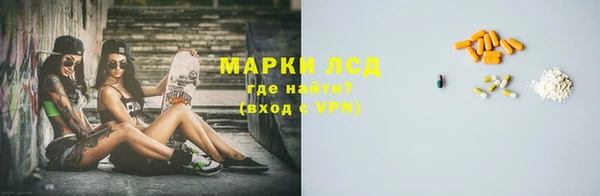 apvp Алзамай