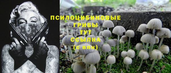 apvp Алзамай