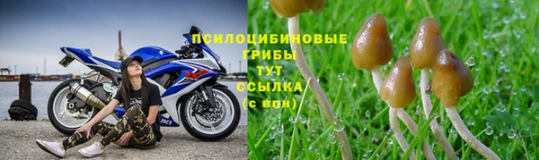 экстази Алексин