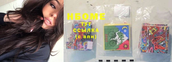 apvp Алзамай