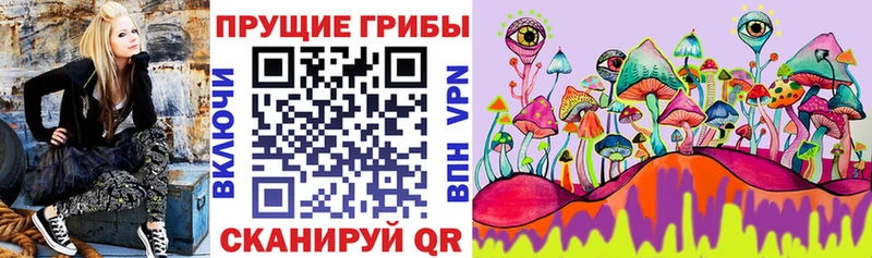 Галлюциногенные грибы мицелий  сколько стоит  Калининск 